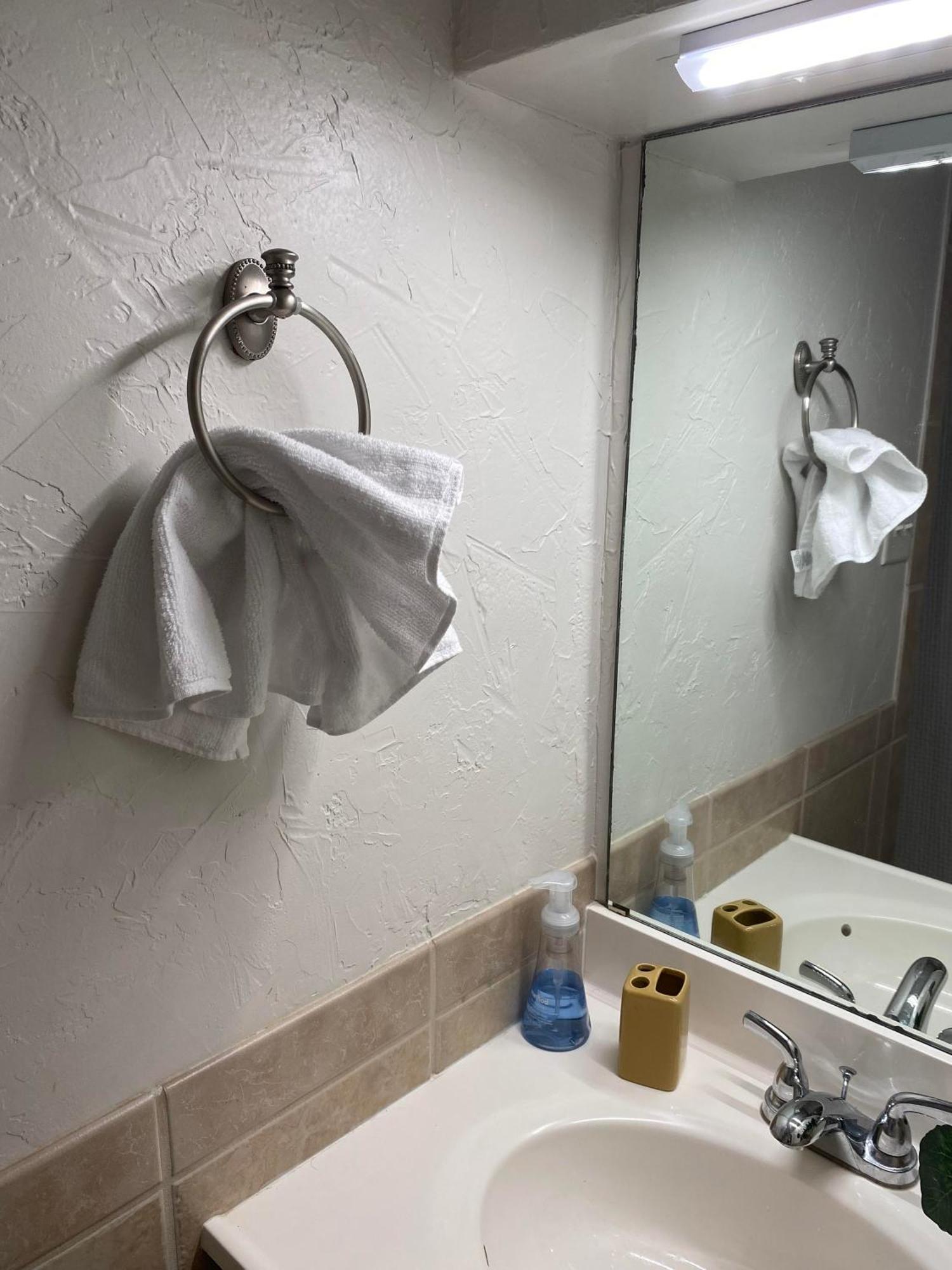 Historic Mitchell House Bed and Breakfast Sulphur Springs Εξωτερικό φωτογραφία